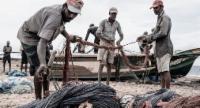 Fisheries Sector Faces Over Rs. 7.6 Bn in Losses